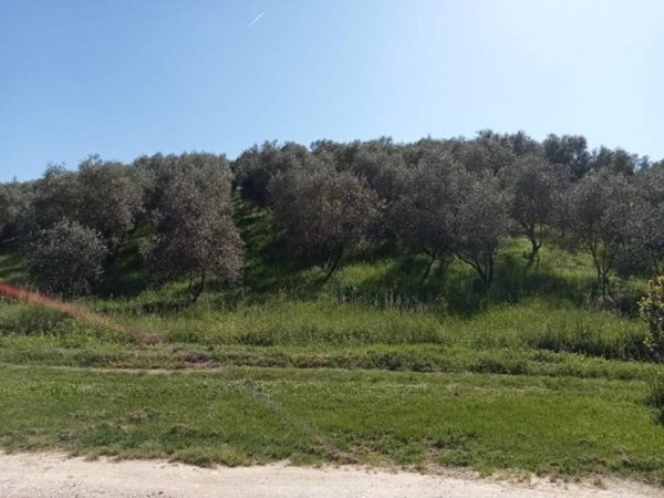 casa indipendente in vendita a Vinci