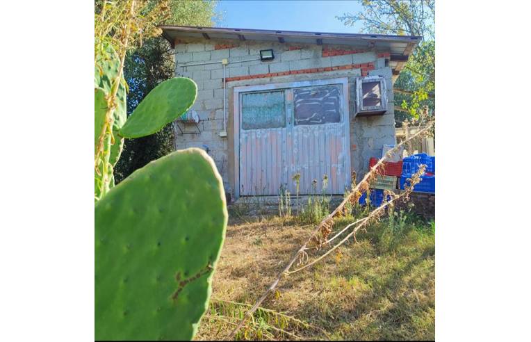 casa indipendente in vendita a Vinci in zona Apparita
