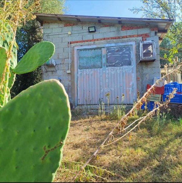 casa indipendente in vendita a Vinci in zona Apparita
