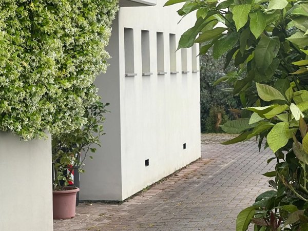 appartamento in vendita a Vinci in zona Sovigliana