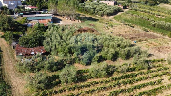 locale di sgombero in vendita a Vinci in zona Toiano