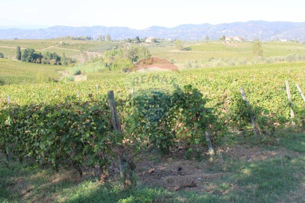 terreno agricolo in vendita a Vinci in zona Toiano