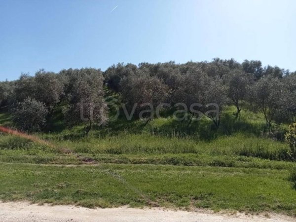 casa indipendente in vendita a Vinci