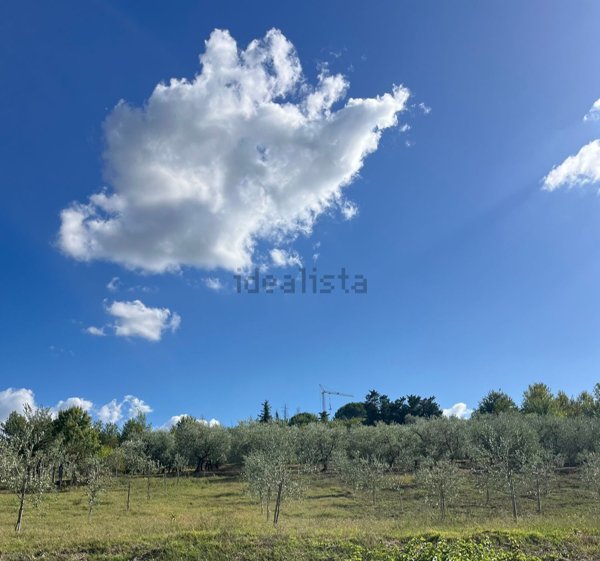 locale di sgombero in vendita a Vinci