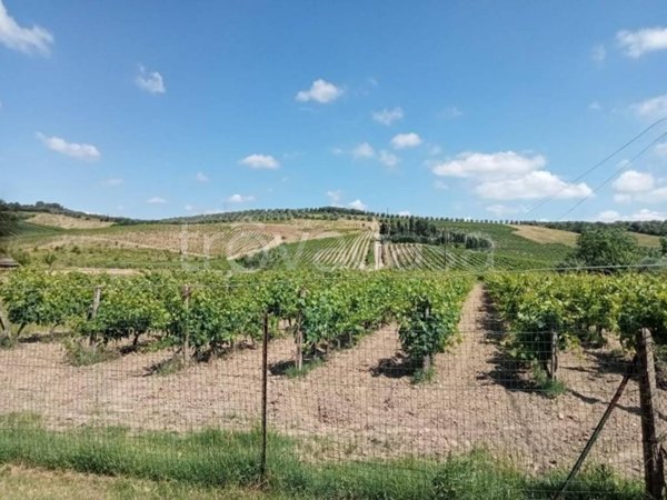 casa indipendente in vendita a Vinci in zona Sovigliana