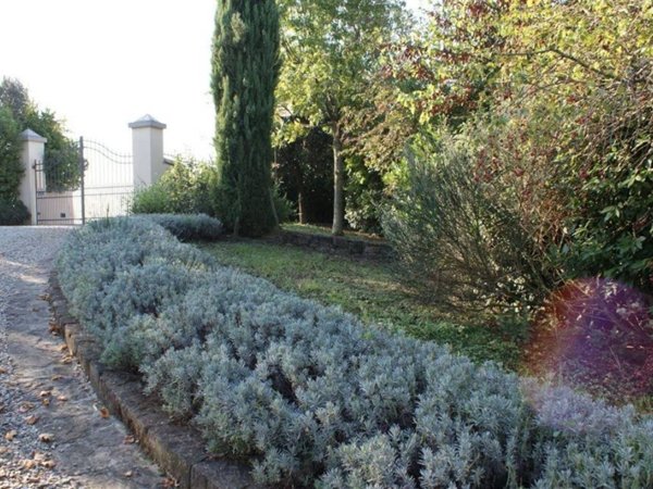 casa indipendente in vendita a Vinci in zona Sovigliana