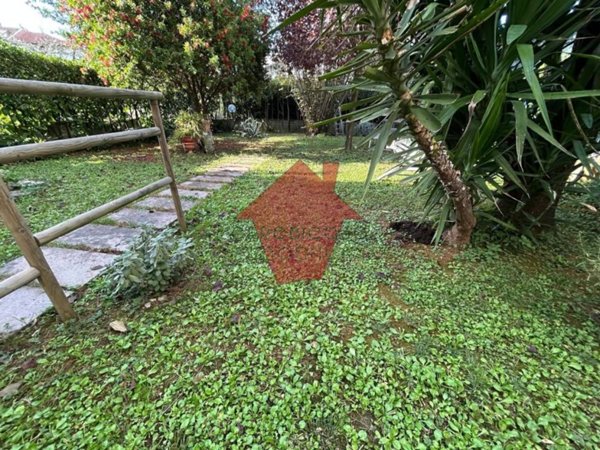casa indipendente in vendita a Vinci in zona Sovigliana