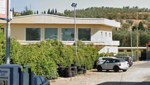 negozio in vendita a Vinci in zona Sovigliana