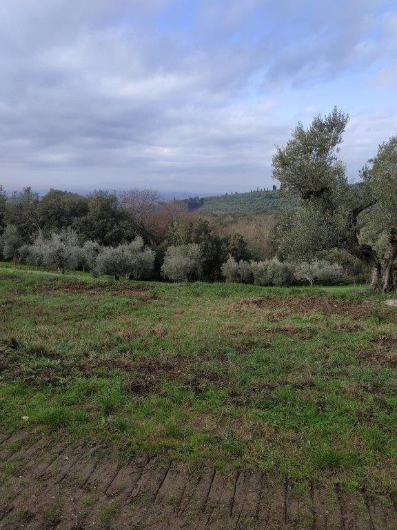 casa indipendente in vendita a Vinci in zona Vitolini