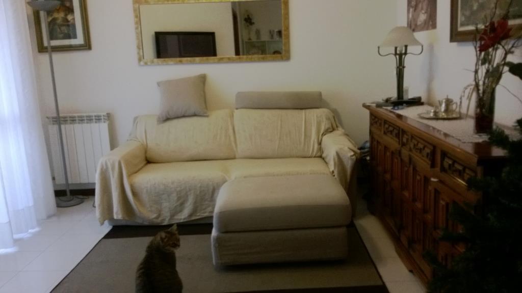 appartamento in vendita a Vinci