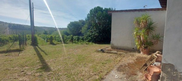 casale in vendita a Vinci in zona Sovigliana