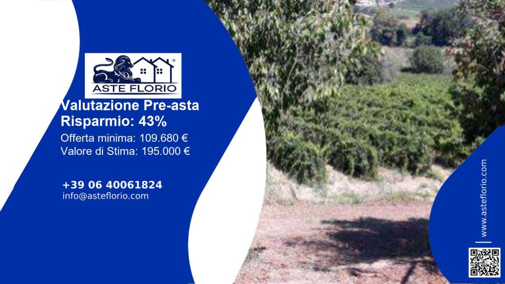 terreno agricolo in vendita a Vinci in zona Collegonzi