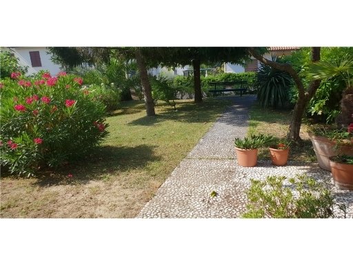 casa indipendente in vendita a Vinci in zona Sovigliana
