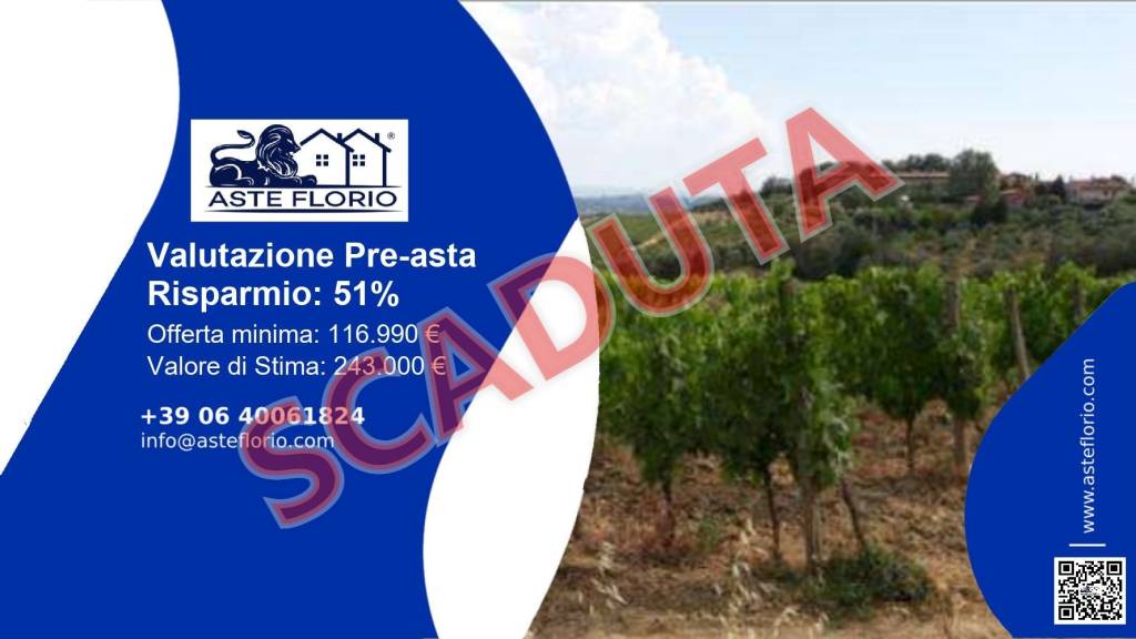 terreno agricolo in vendita a Vinci in zona Collegonzi