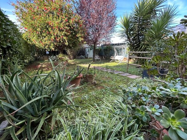 casa indipendente in vendita a Vinci in zona Sovigliana