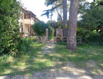 appartamento in vendita a Vinci in zona San Donato