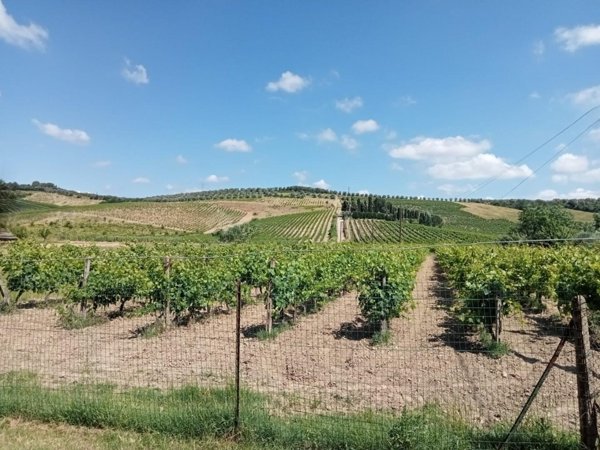 casa indipendente in vendita a Vinci in zona Sovigliana