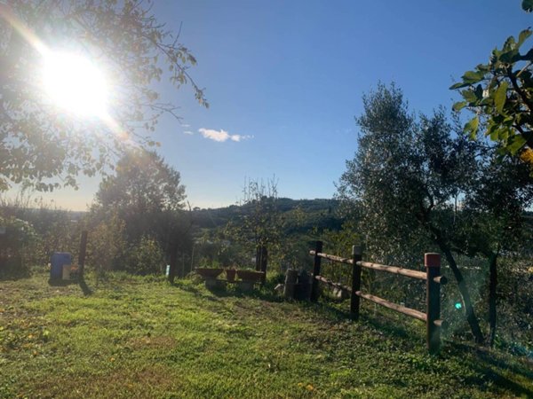 terreno agricolo in vendita a Vinci