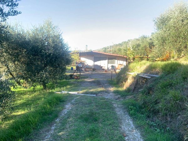 terreno agricolo in vendita a Vinci