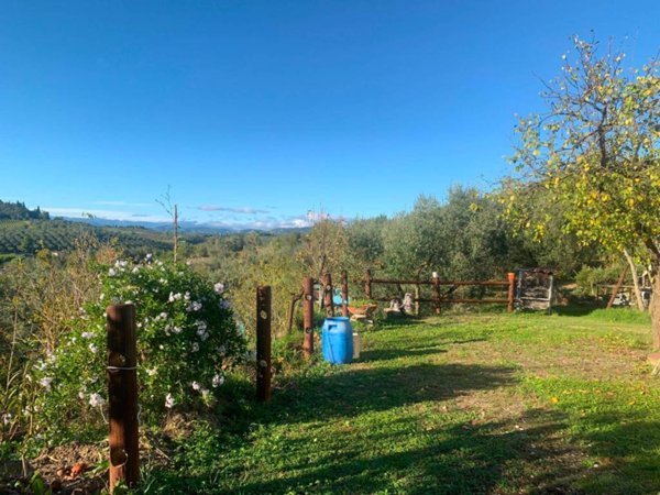 terreno agricolo in vendita a Vinci