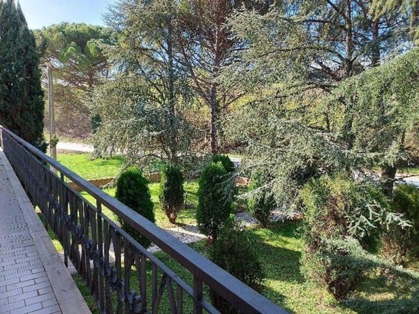 negozio in vendita a Vinci in zona Sovigliana