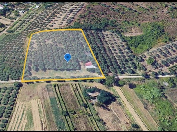 terreno agricolo in vendita a Vinci in zona Piccaratico