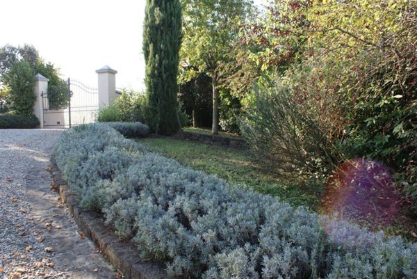 casa indipendente in vendita a Vinci in zona Sovigliana