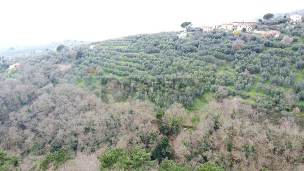 terreno agricolo in vendita a Vinci in zona Vitolini