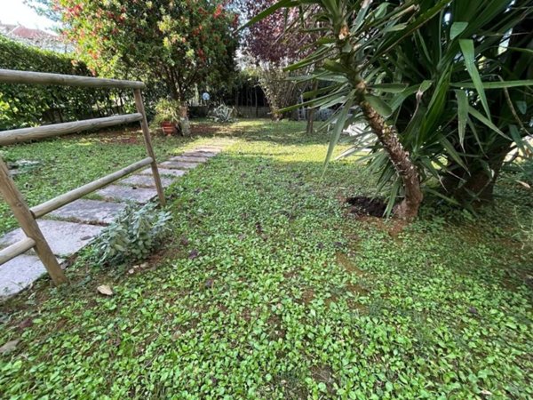 casa indipendente in vendita a Vinci in zona Sovigliana