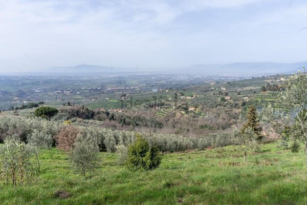 terreno agricolo in vendita a Vinci