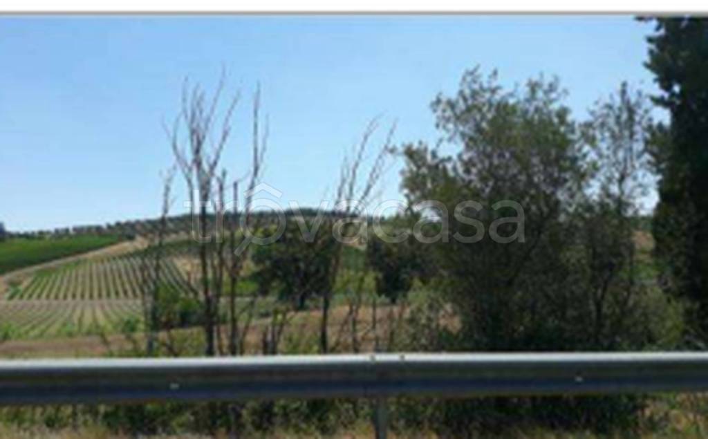 terreno agricolo in vendita a Vinci in zona Collegonzi