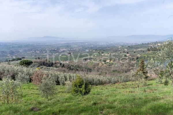 terreno agricolo in vendita a Vinci in zona Sovigliana