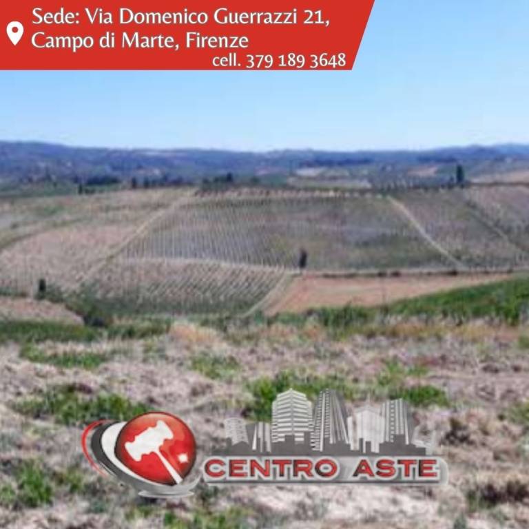 casa indipendente in vendita a Vinci in zona Collegonzi