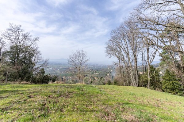 terreno agricolo in vendita a Vinci in zona Sovigliana