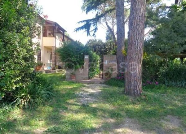 appartamento in vendita a Vinci in zona San Donato