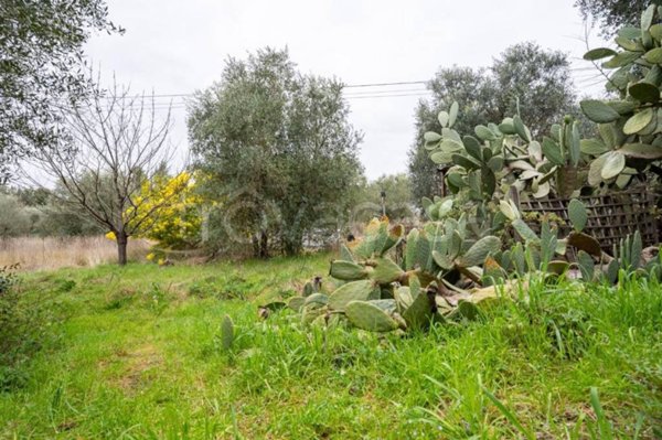 casa indipendente in vendita a Vinci