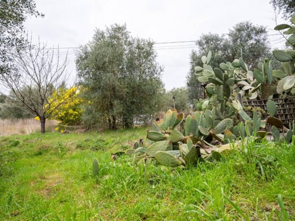 casa indipendente in vendita a Vinci
