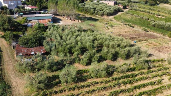 locale di sgombero in vendita a Vinci in zona Toiano