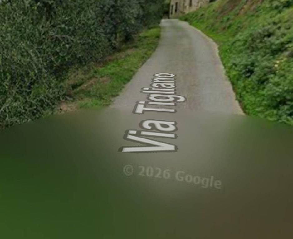 terreno agricolo in vendita a Vinci