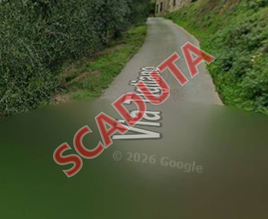 terreno agricolo in vendita a Vinci in zona Anchiano