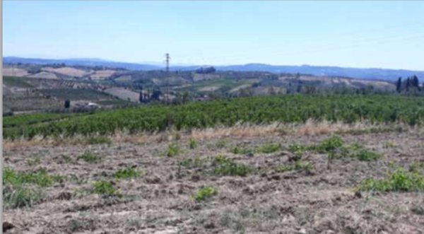 terreno agricolo in vendita a Vinci in zona Collegonzi