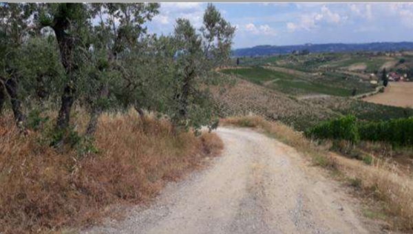 terreno agricolo in vendita a Vinci in zona Collegonzi