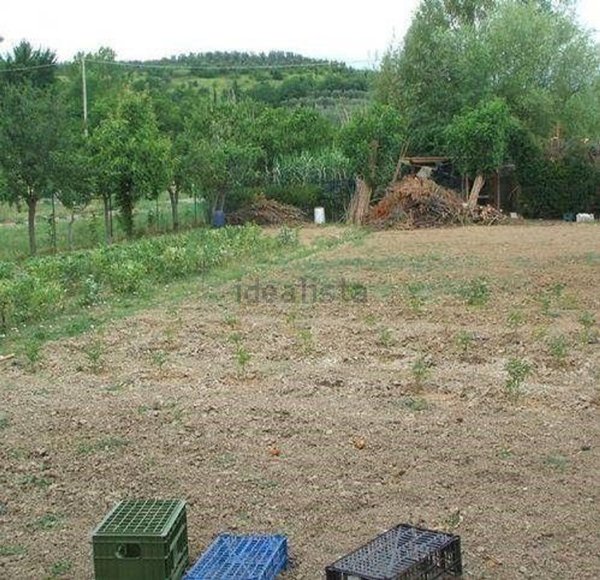 appartamento in vendita a Vinci in zona Sovigliana