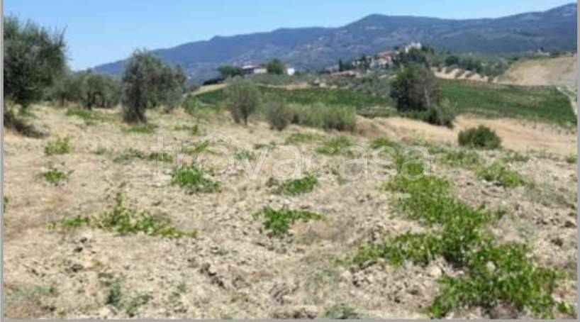 appartamento in vendita a Vinci in zona Collegonzi