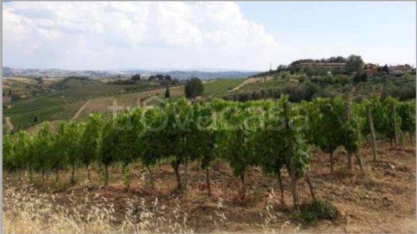 appartamento in vendita a Vinci in zona Collegonzi