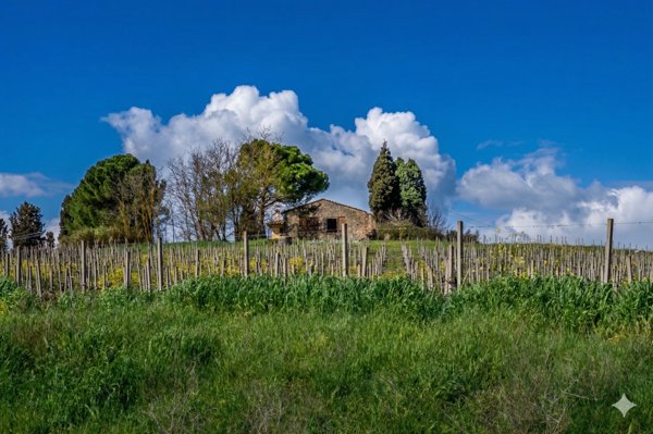 casa indipendente in vendita a Vinci in zona Sovigliana