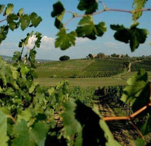 casa indipendente in vendita a Vinci