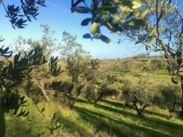 casa indipendente in vendita a Vinci