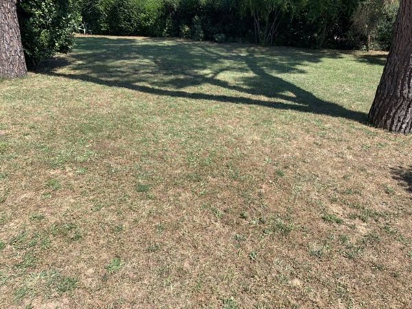 casa indipendente in vendita a Vinci