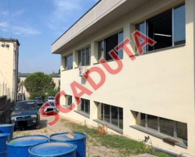 pentavano in vendita a Vinci